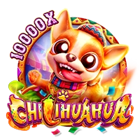 CHILIHUAHUA - TURBOBET168