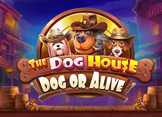 The Dog House - Dog or Alive - TURBOBET168