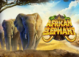 African Elephant - TURBOBET168